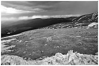 Snow and tundra on Mt Evans. Colorado, USA (black and white)