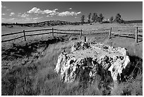 Petrified stump, Florissant Fossil Beds National Monument. Colorado, USA (black and white)