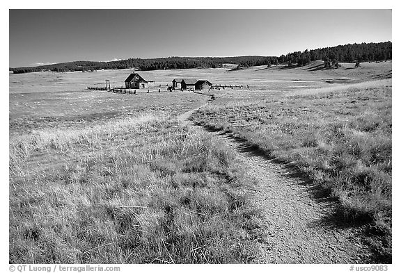 Trail and historic barns,  Florissant Fossil Beds National Monument. Colorado, USA (black and white)