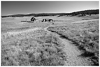 Trail and historic barns,  Florissant Fossil Beds National Monument. Colorado, USA ( black and white)