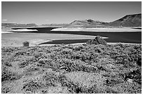 Cebolla Basin, Curecanti National Recreation Area. Colorado, USA ( black and white)