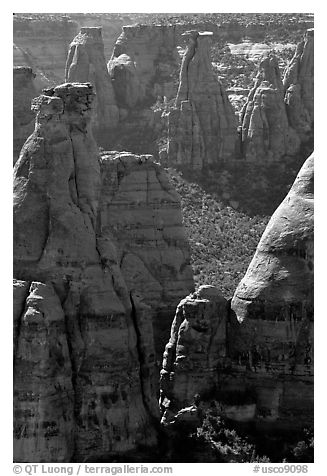 Spires. Colorado National Monument, Colorado, USA (black and white)