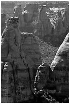 Spires. Colorado National Monument, Colorado, USA (black and white)