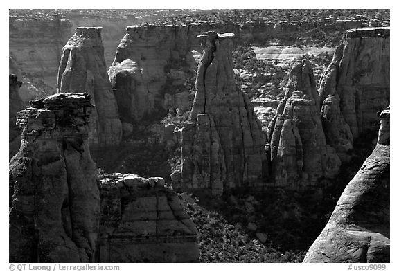 Spires. Colorado National Monument, Colorado, USA (black and white)