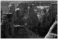 Spires. Colorado National Monument, Colorado, USA (black and white)