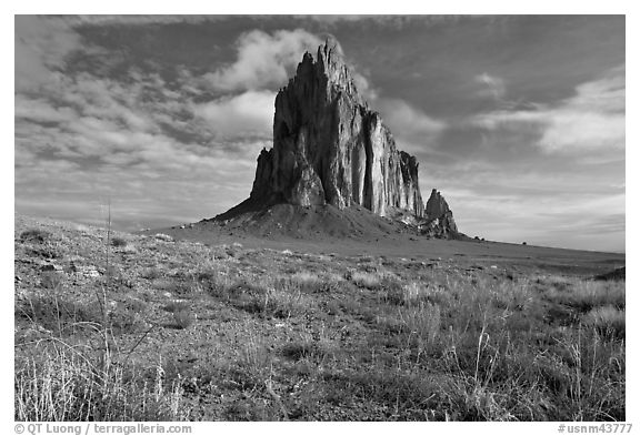 Wildflowers and Shiprock. Shiprock, New Mexico, USA (black and white)