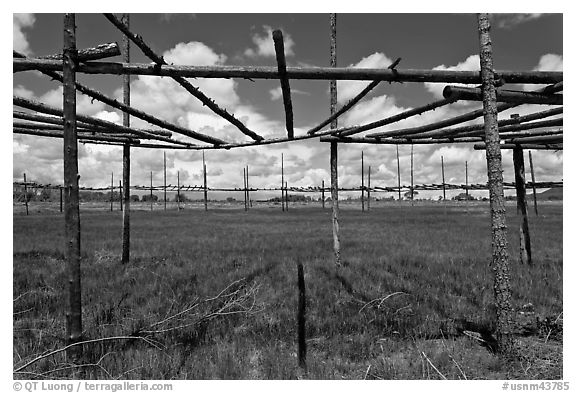 Drying rack in field. Taos, New Mexico, USA (black and white)