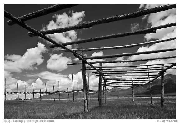 Wooden drying racks. Taos, New Mexico, USA (black and white)