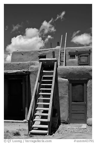 Ladder used to access upper floor of pueblo. Taos, New Mexico, USA (black and white)