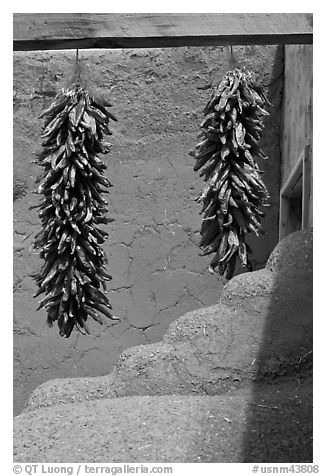 Strings of red pepper hanging from adobe walls. Taos, New Mexico, USA (black and white)