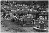 Tombs seen from the back, cemetery. Taos, New Mexico, USA (black and white)