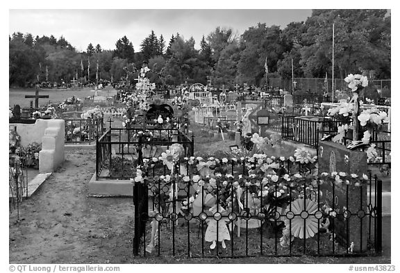 Graves with colorfull flowers. Taos, New Mexico, USA (black and white)