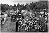 Graves with colorfull flowers. Taos, New Mexico, USA ( black and white)