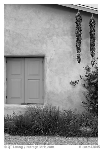 Ristras hanging from roof with blue shutters. Taos, New Mexico, USA (black and white)