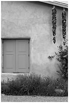 Ristras hanging from roof with blue shutters. Taos, New Mexico, USA ( black and white)