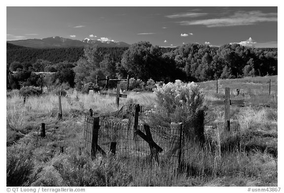 Woden crosses, cemetery, Picuris Pueblo. New Mexico, USA (black and white)