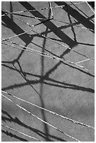 Shadows of vigas (wooden beams) and strings made of plastic bags. Santa Fe, New Mexico, USA (black and white)