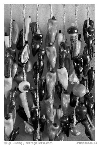 Ceramic fruits and vegetable for sale. Santa Fe, New Mexico, USA (black and white)