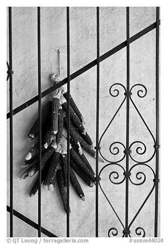 Dried black corn and ironwork. Santa Fe, New Mexico, USA