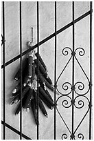 Dried black corn and ironwork. Santa Fe, New Mexico, USA (black and white)