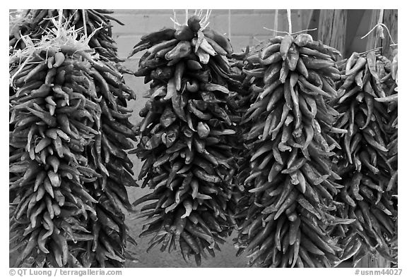 Ristras for sale. Santa Fe, New Mexico, USA