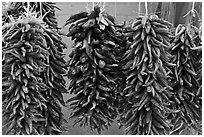 Ristras for sale. Santa Fe, New Mexico, USA ( black and white)