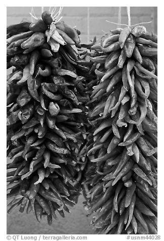 Strings of red peppers for sale. Santa Fe, New Mexico, USA (black and white)