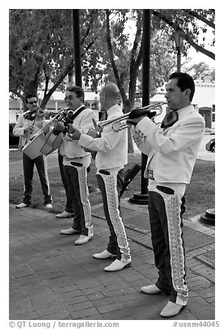 New Mexico mariachi. Albuquerque, New Mexico, USA (black and white)