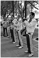 New Mexico mariachi. Albuquerque, New Mexico, USA (black and white)