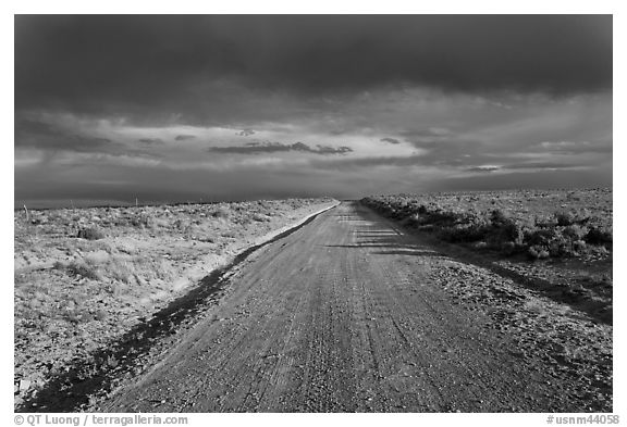 Primitive road under dark sky. New Mexico, USA (black and white)