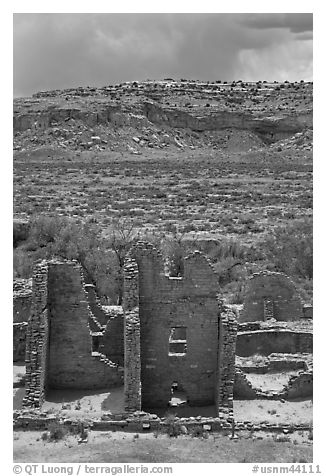Ruined pueblo and cottonwoods trees. Chaco Culture National Historic Park, New Mexico, USA (black and white)