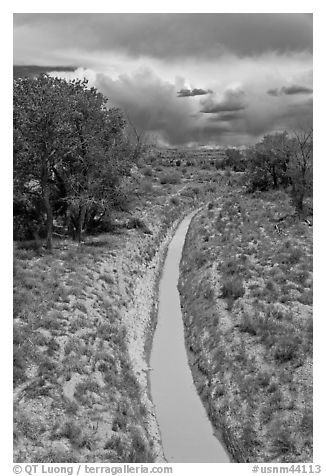 Chaco wash in the spring. Chaco Culture National Historic Park, New Mexico, USA (black and white)