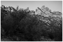 Organ Mountains at dawn. Organ Mountains Desert Peaks National Monument, New Mexico, USA ( black and white)