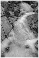 Frozen stream. Organ Mountains Desert Peaks National Monument, New Mexico, USA ( black and white)