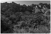 Organ Mountains above Aguirre Springs. Organ Mountains Desert Peaks National Monument, New Mexico, USA ( black and white)
