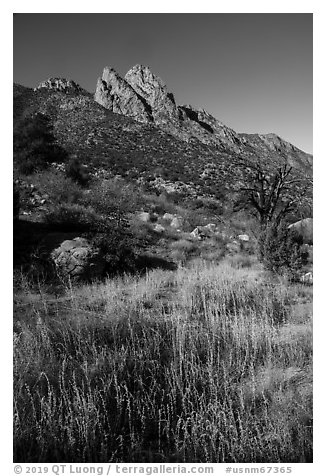 Rabbit Ears above Aguirre Springs. Organ Mountains Desert Peaks National Monument, New Mexico, USA (black and white)
