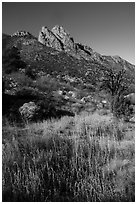 Rabbit Ears above Aguirre Springs. Organ Mountains Desert Peaks National Monument, New Mexico, USA ( black and white)
