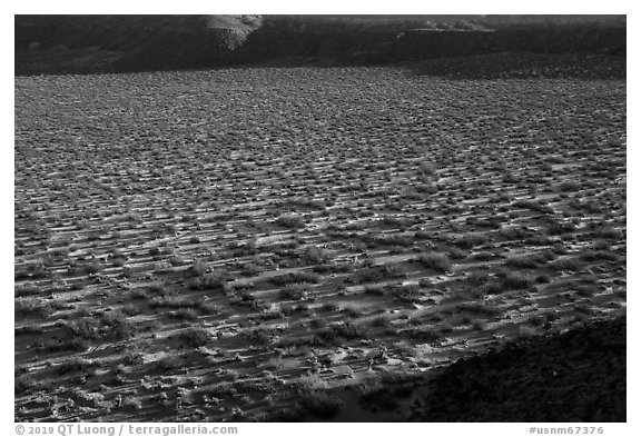 Crater floor, Kilbourne Hole. Organ Mountains Desert Peaks National Monument, New Mexico, USA (black and white)
