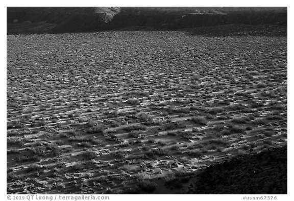 Crater floor, Kilbourne Hole. Organ Mountains Desert Peaks National Monument, New Mexico, USA (black and white)