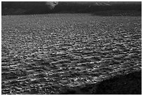 Crater floor, Kilbourne Hole. Organ Mountains Desert Peaks National Monument, New Mexico, USA ( black and white)