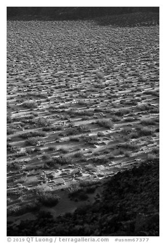 Crater floor between wall shadows, Kilbourne Hole. Organ Mountains Desert Peaks National Monument, New Mexico, USA (black and white)