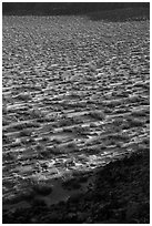 Crater floor between wall shadows, Kilbourne Hole. Organ Mountains Desert Peaks National Monument, New Mexico, USA ( black and white)