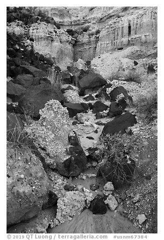 Volcanic rocks and colorful Kilbourne Hole crater walls. Organ Mountains Desert Peaks National Monument, New Mexico, USA (black and white)