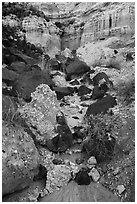 Volcanic rocks and colorful Kilbourne Hole crater walls. Organ Mountains Desert Peaks National Monument, New Mexico, USA ( black and white)