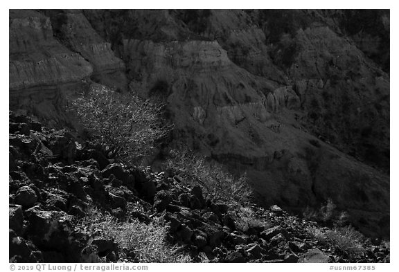 Volcanic rocks and Kilbourne Hole crater walls. Organ Mountains Desert Peaks National Monument, New Mexico, USA (black and white)