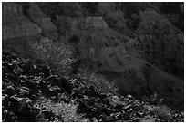 Volcanic rocks and Kilbourne Hole crater walls. Organ Mountains Desert Peaks National Monument, New Mexico, USA ( black and white)