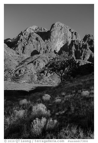 Organ Peak from Dripping Springs Natural Area. Organ Mountains Desert Peaks National Monument, New Mexico, USA (black and white)