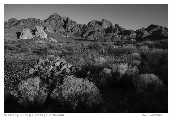 Desert plants, rock spires, Organ Peak, and Baldy Peak. Organ Mountains Desert Peaks National Monument, New Mexico, USA (black and white)