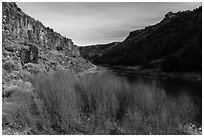 Red willows and Rio Grande River in winter. Rio Grande Del Norte National Monument, New Mexico, USA ( black and white)