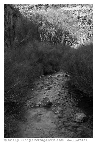 Rio Hondo near Rio Grande Gorge. Rio Grande Del Norte National Monument, New Mexico, USA (black and white)